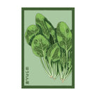 Spinach Vegetable Seeds Packet - Chive US Wholesale