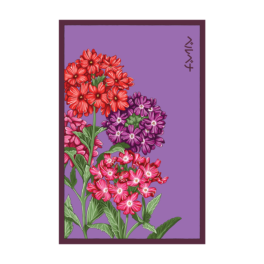 Verbena Flower Seeds Packet - Chive US Wholesale