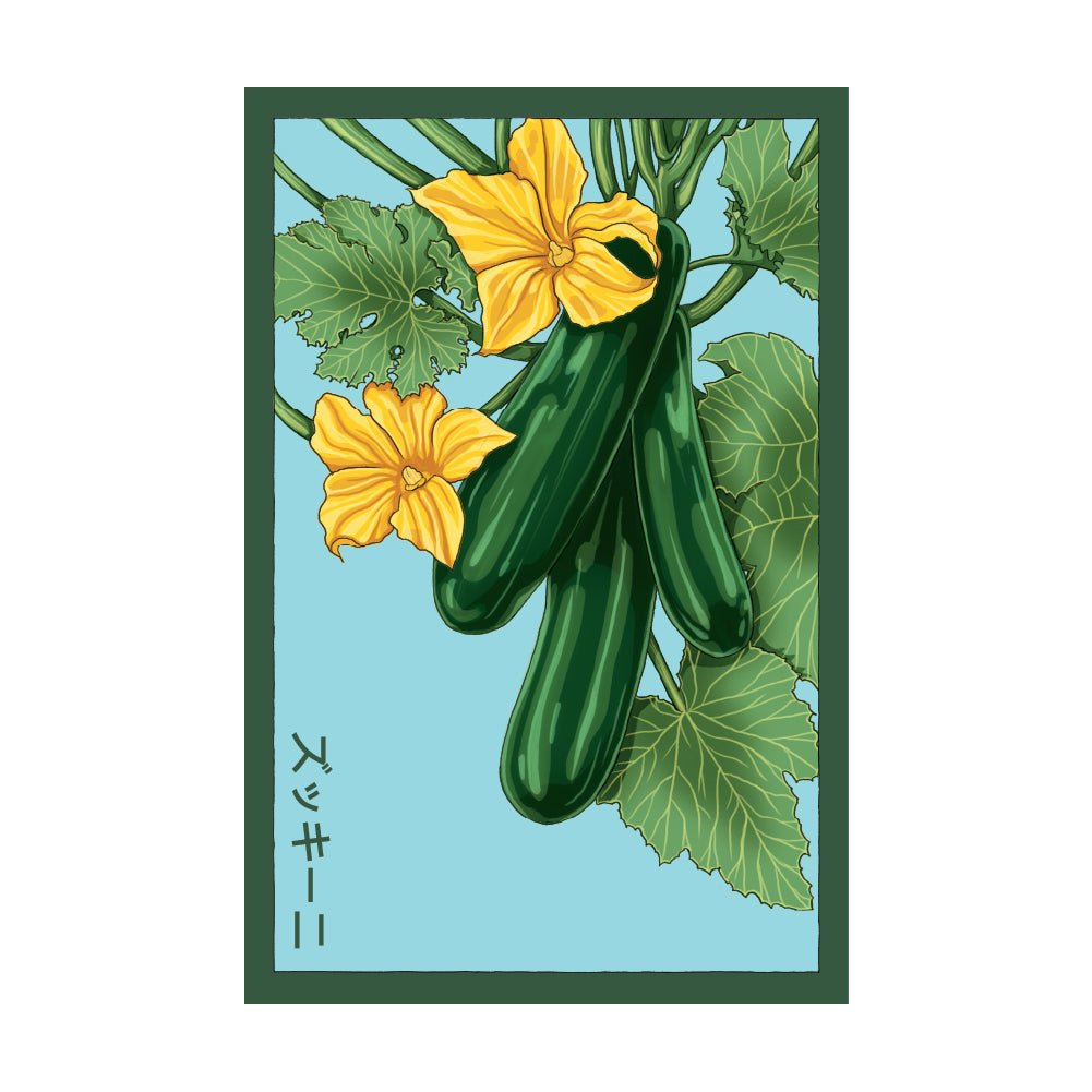 Zucchini Vegetable Seeds Packet - Chive US Wholesale