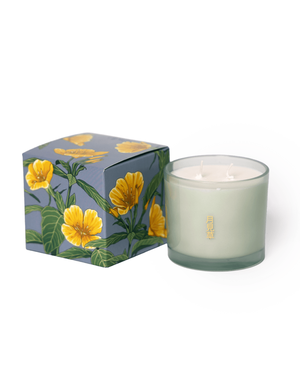 Shido Coconut & Soy Blend Evening Primrose Candle - Chive US Wholesale