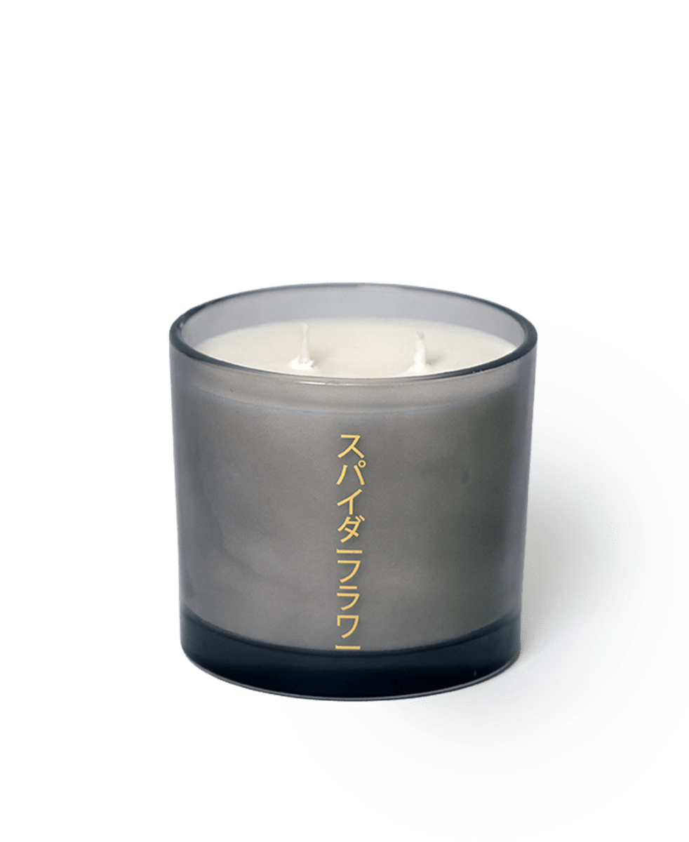 Shido Coconut & Soy Blend Spiderflower Candle - Chive US Wholesale