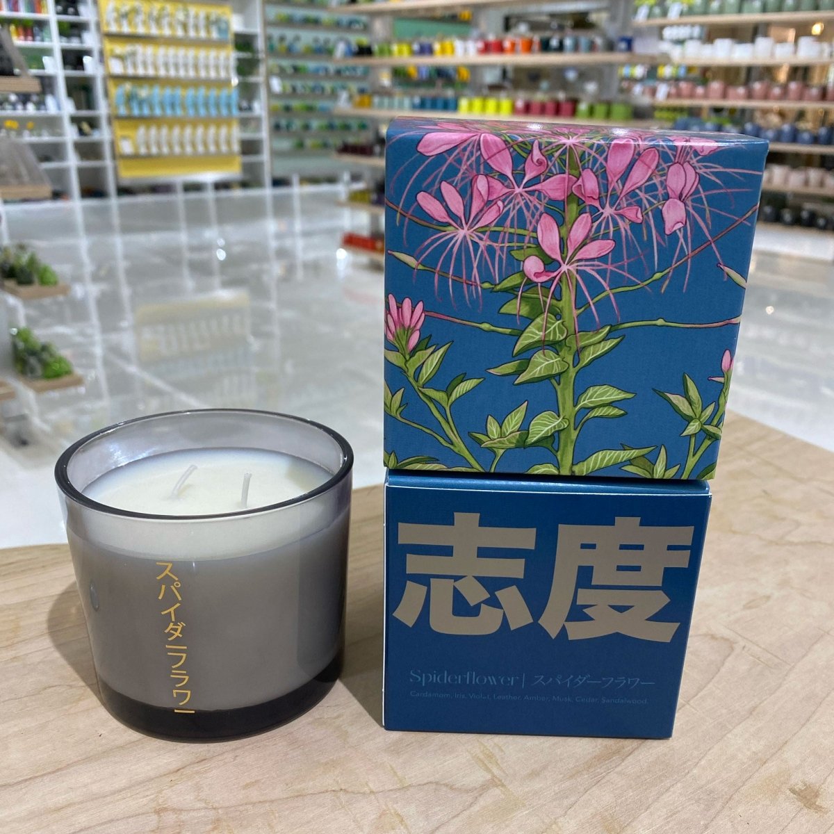 Shido Coconut & Soy Blend Spiderflower Candle - Chive US Wholesale