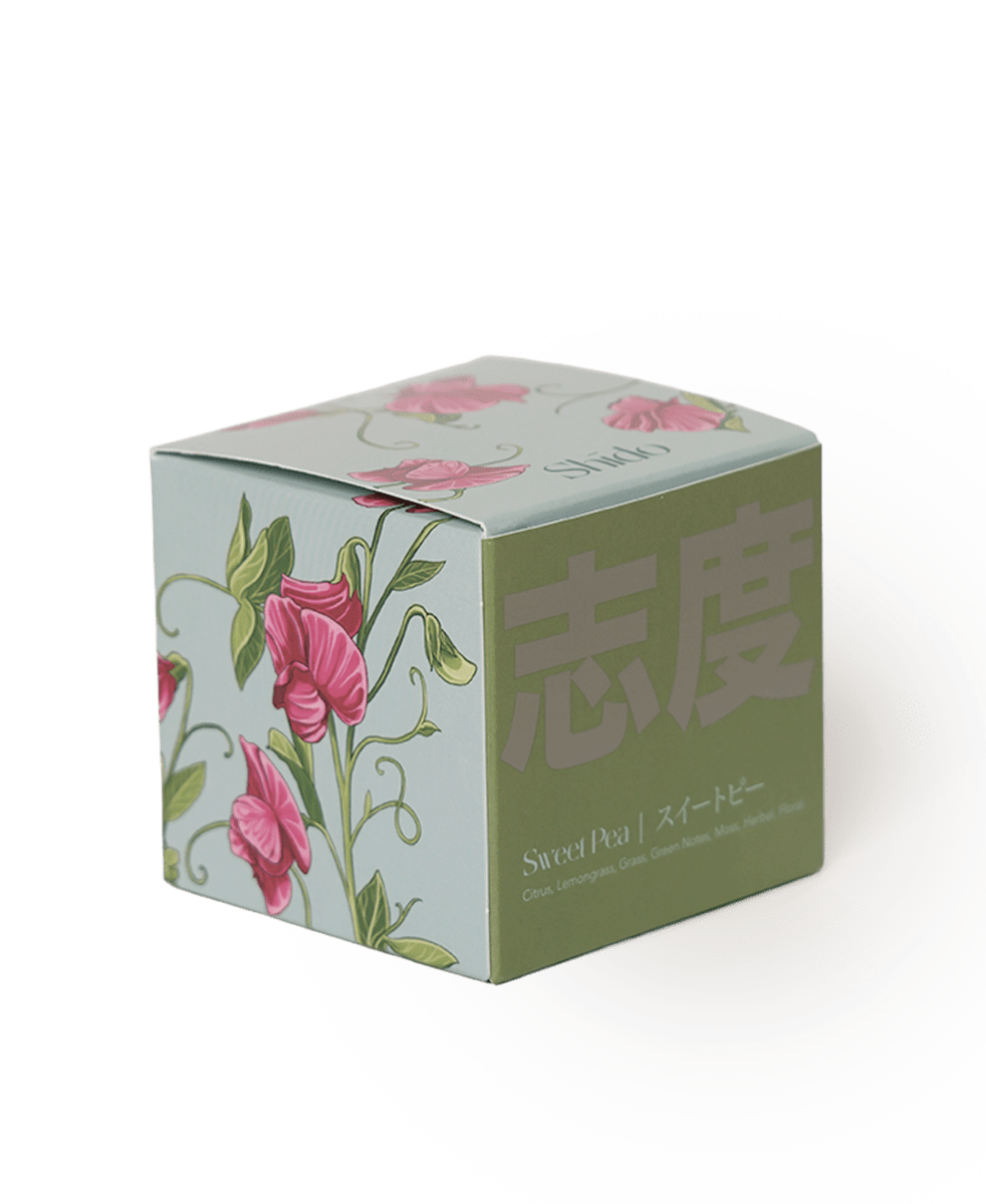 Shido Coconut & Soy Blend Sweet Pea Candle - Chive US Wholesale