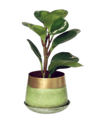 Joe Metal Pot With Drainage Hole - Chive US Wholesale