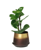 Joe Metal Pot With Drainage Hole - Chive US Wholesale