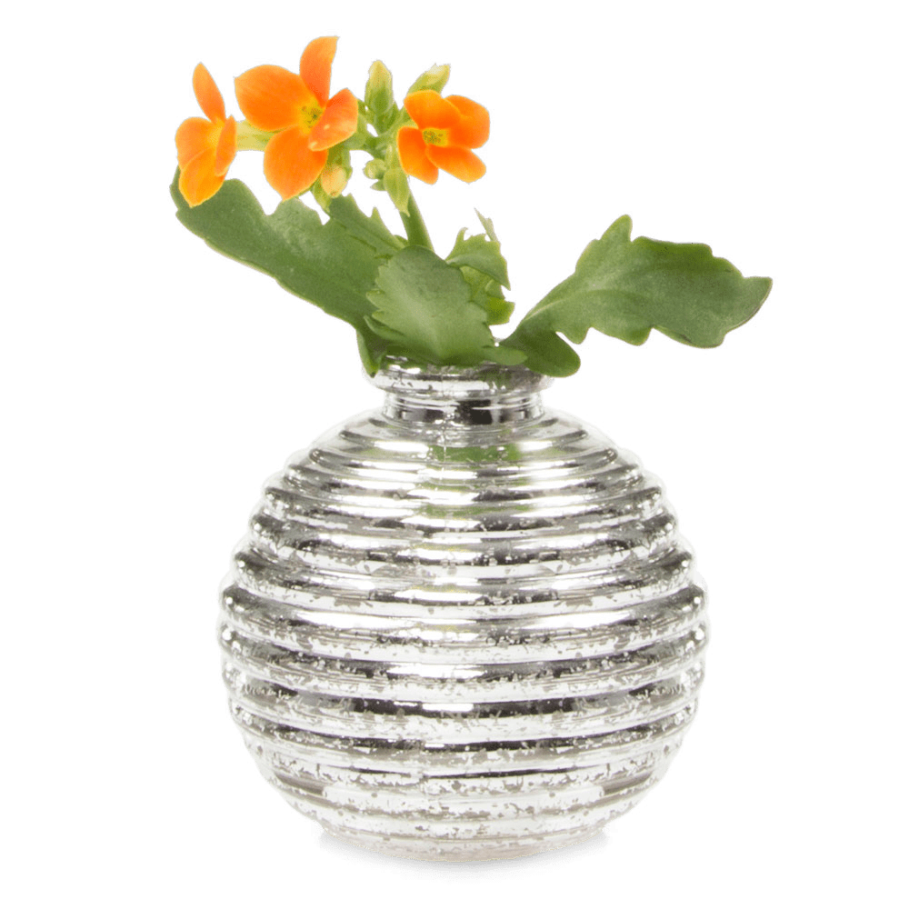 Smasak Glass Bud Vase - Chive US Wholesale