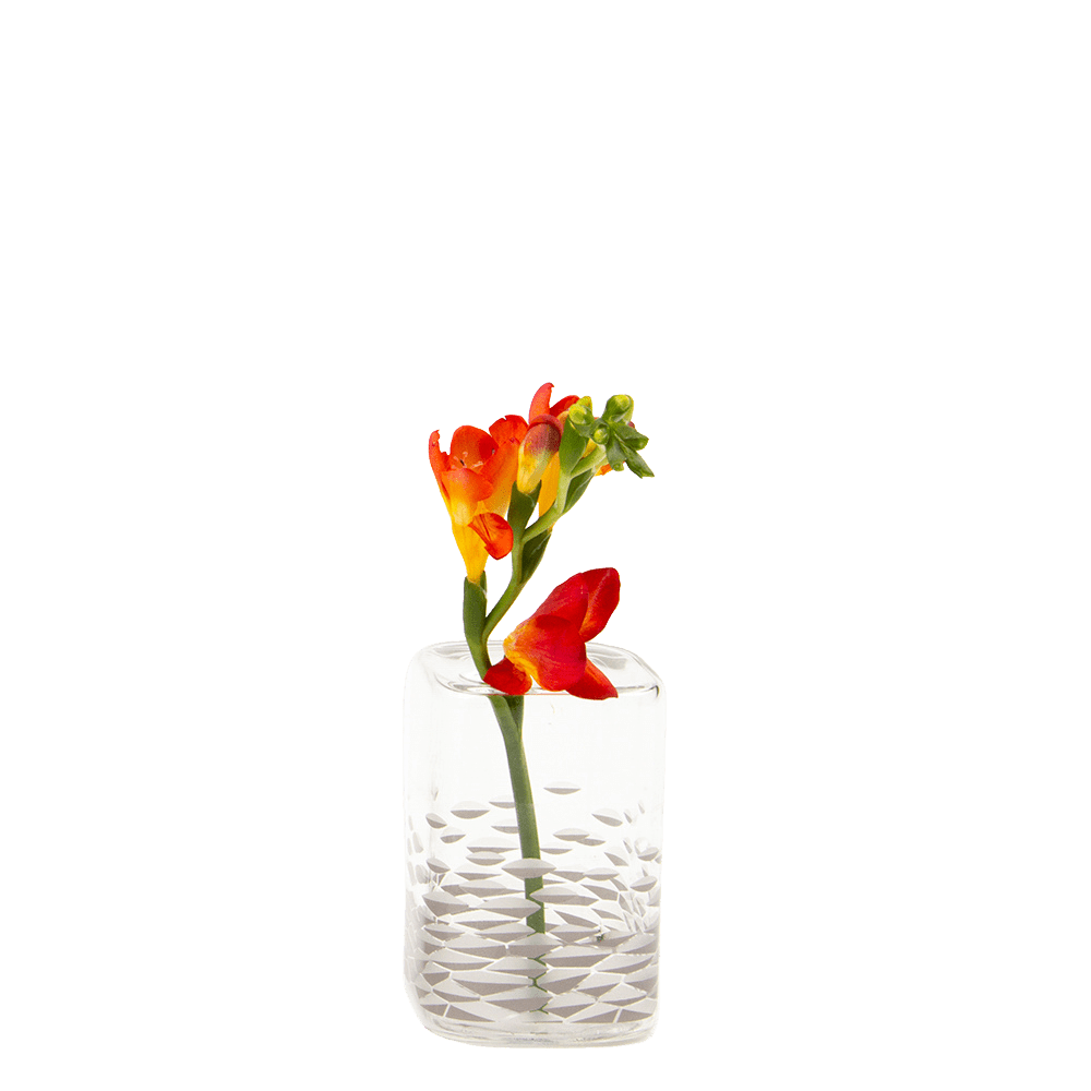 Decal Glass Modern Flower Vase - Chive US Wholesale