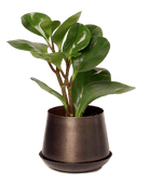 Joe Metal Pot With Drainage Hole - Chive US Wholesale