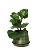 Joe Metal Pot With Drainage Hole - Chive US Wholesale