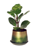 Joe Metal Pot With Drainage Hole - Chive US Wholesale