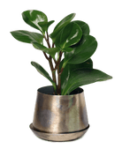 Joe Metal Pot With Drainage Hole - Chive US Wholesale