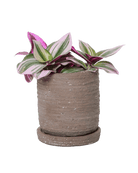 Paul Ceramic Pot And Saucer Set With Drainage - Chive US Wholesale