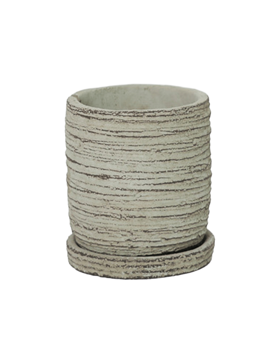 Paul Ceramic Pot And Saucer Set With Drainage - Chive US Wholesale