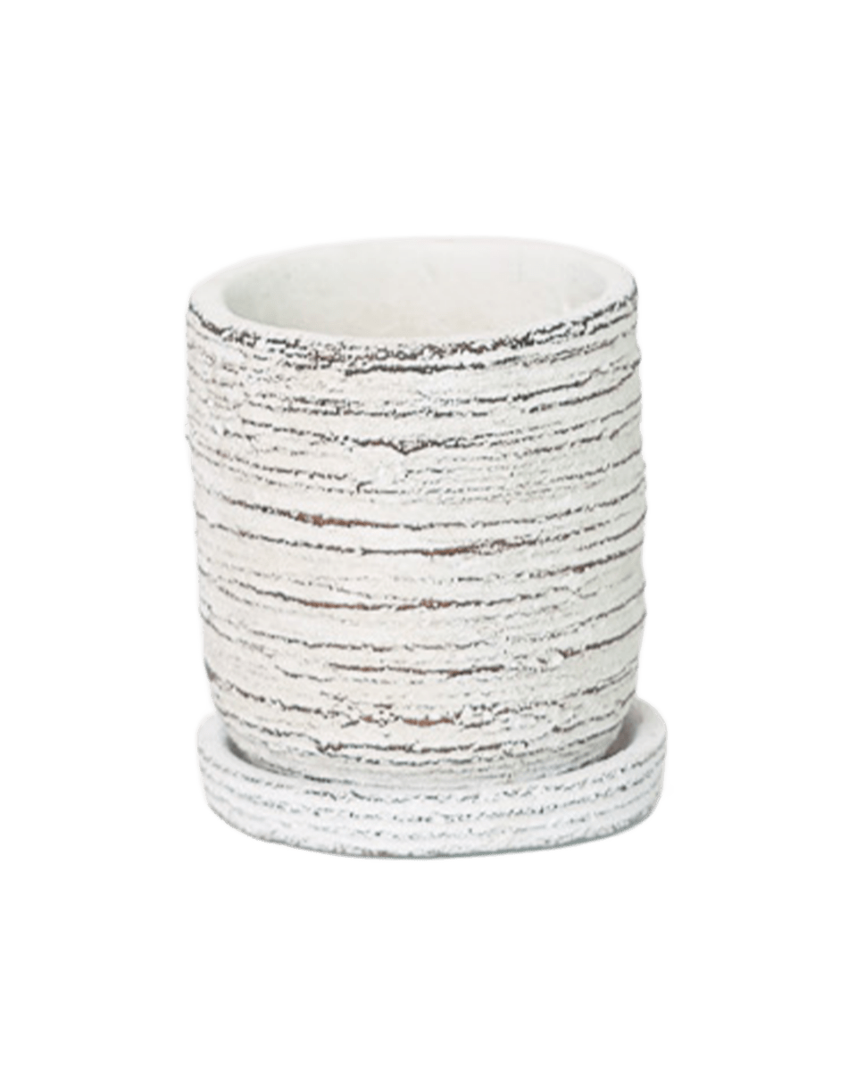 Paul Ceramic Pot And Saucer Set With Drainage - Chive US Wholesale