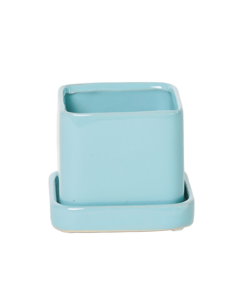 Svek Ceramic Pot And Saucer With Drainage Hole - Chive US Wholesale