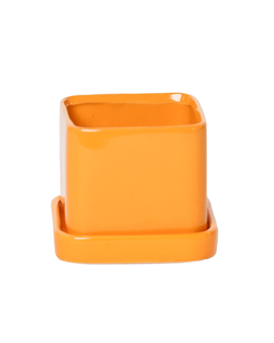 Svek Ceramic Pot And Saucer With Drainage Hole - Chive US Wholesale