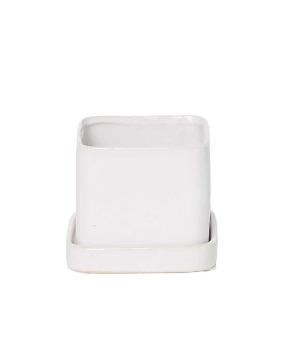 Svek Ceramic Pot And Saucer With Drainage Hole - Chive US Wholesale