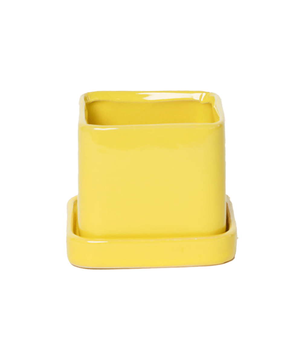 Svek Ceramic Pot And Saucer With Drainage Hole - Chive US Wholesale