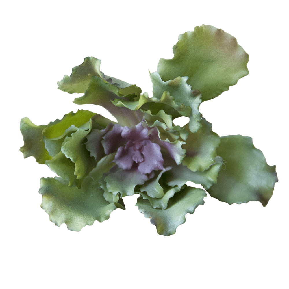 Succulents Fake Faux Lifelike Decorative Things - Chive US Wholesale