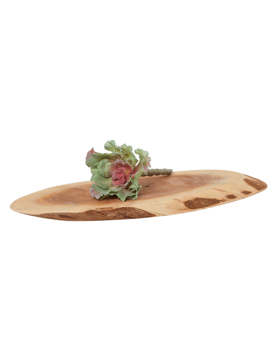 Succulents Fake Faux Lifelike Decorative Things - Chive US Wholesale