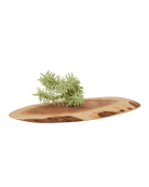 Succulents Fake Faux Lifelike Decorative Things - Chive US Wholesale