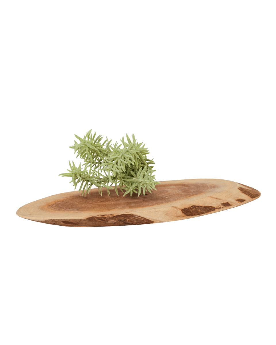 Succulents Fake Faux Lifelike Decorative Things - Chive US Wholesale