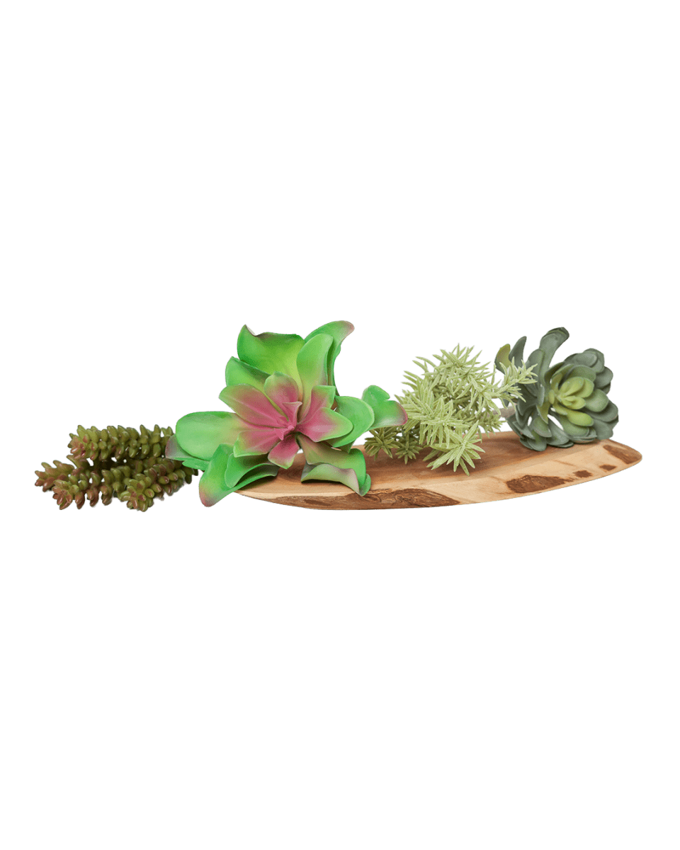 Succulents Fake Faux Lifelike Decorative Things - Chive US Wholesale