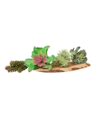 Succulents Fake Faux Lifelike Decorative Things - Chive US Wholesale
