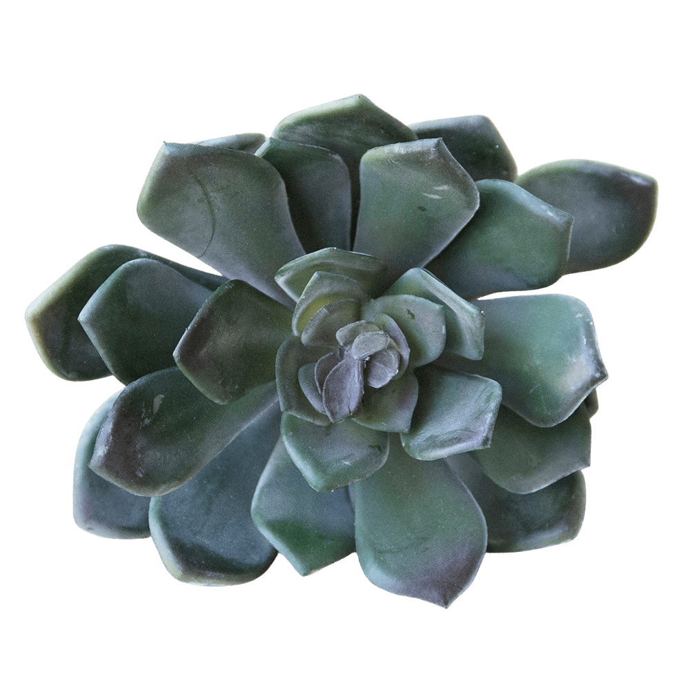 Succulents Fake Faux Lifelike Decorative Things - Chive US Wholesale