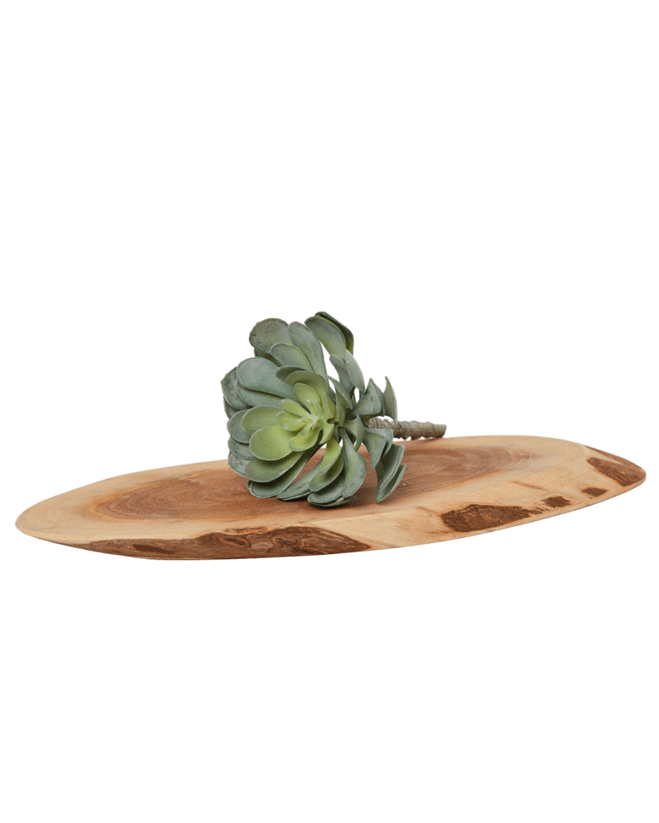 Premium Artificial Succulents - Lifelike Botanical Decor - Chive US Wholesale