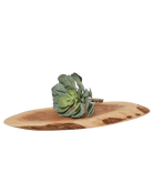 Premium Artificial Succulents - Lifelike Botanical Decor - Chive US Wholesale