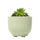 Succulent Cup Ceramic For Weddings - Chive US Wholesale