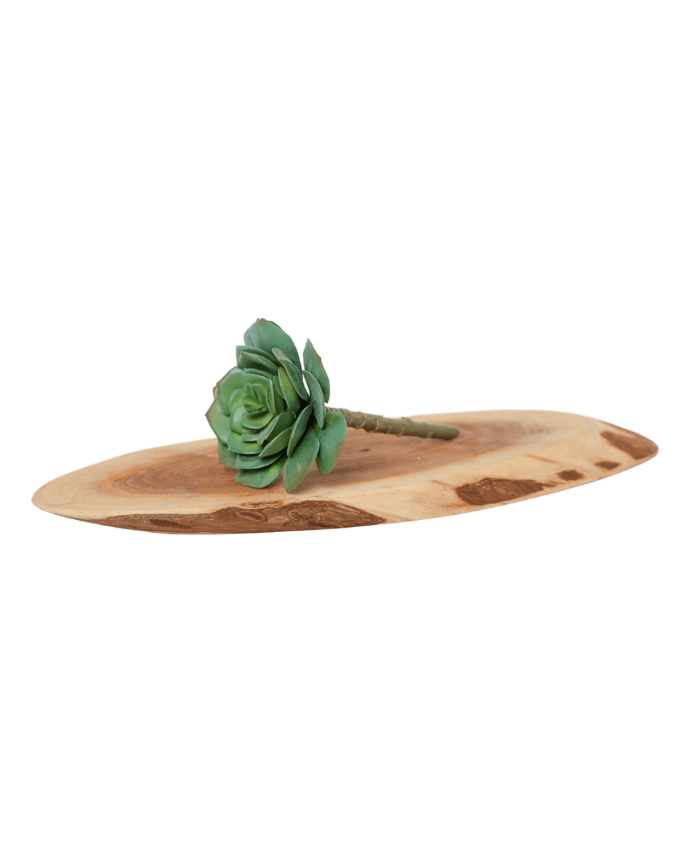 Premium Artificial Succulents - Lifelike Botanical Decor - Chive US Wholesale