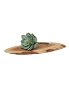 Premium Artificial Succulents - Lifelike Botanical Decor - Chive US Wholesale