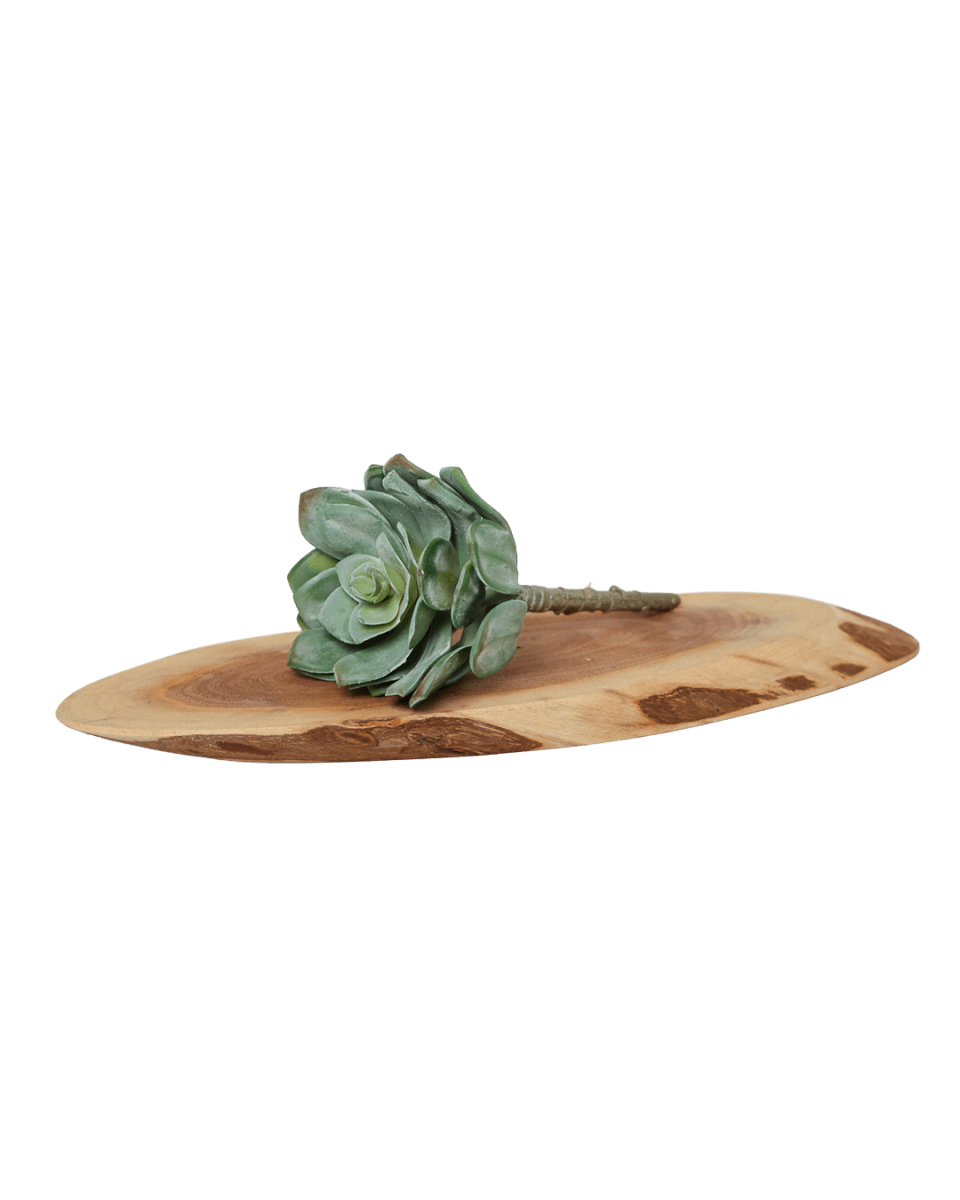 Premium Artificial Succulents - Lifelike Botanical Decor - Chive US Wholesale