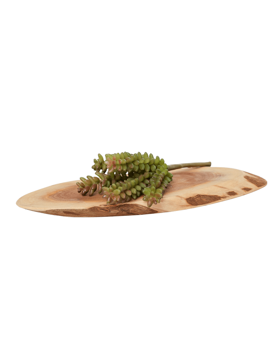 Succulents Fake Faux Lifelike Decorative Things - Chive US Wholesale