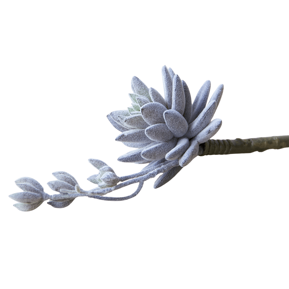Succulents Fake Faux Lifelike Decorative Things - Chive US Wholesale