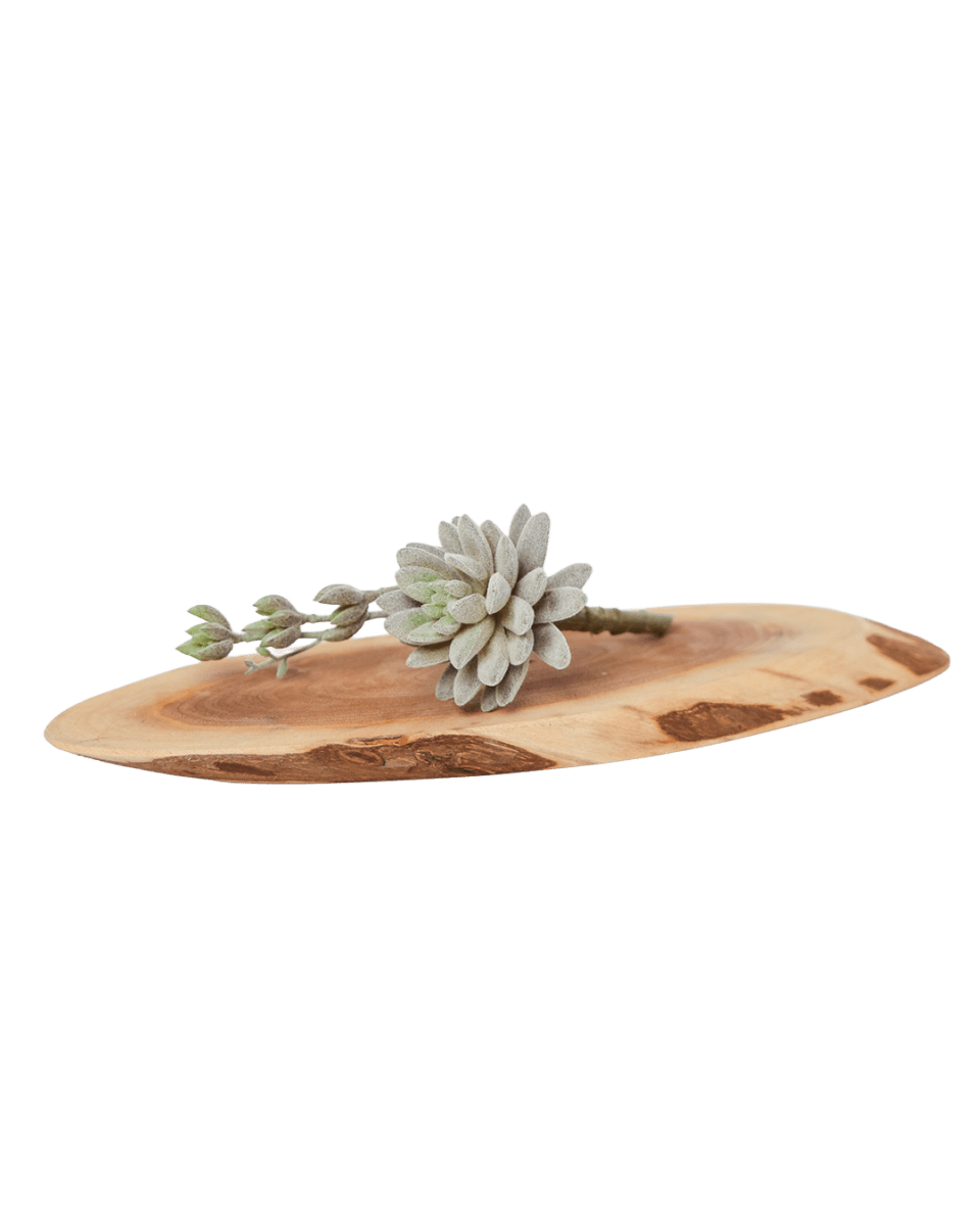 Succulents Fake Faux Lifelike Decorative Things - Chive US Wholesale