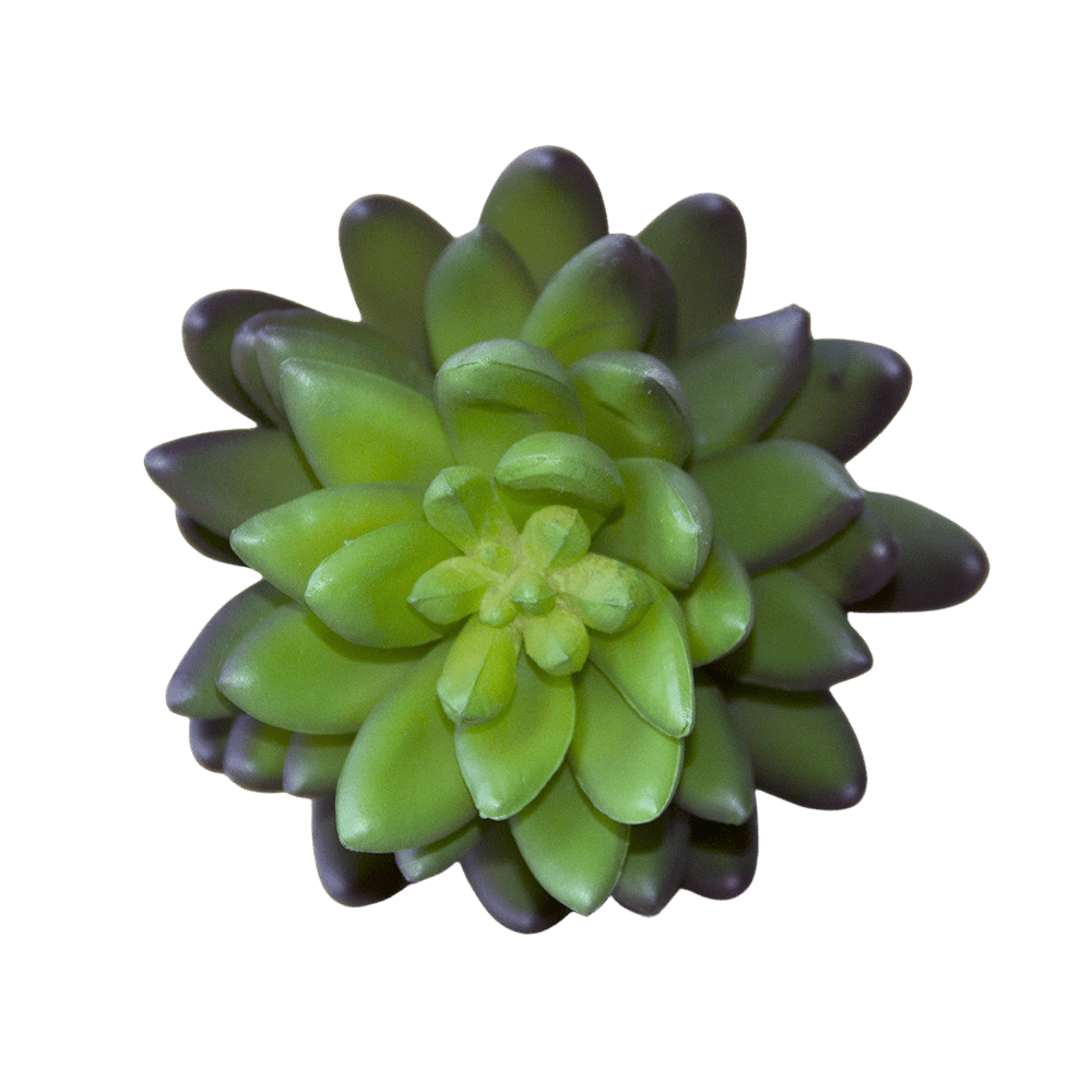 Succulents Fake Faux Lifelike Decorative Things - Chive US Wholesale