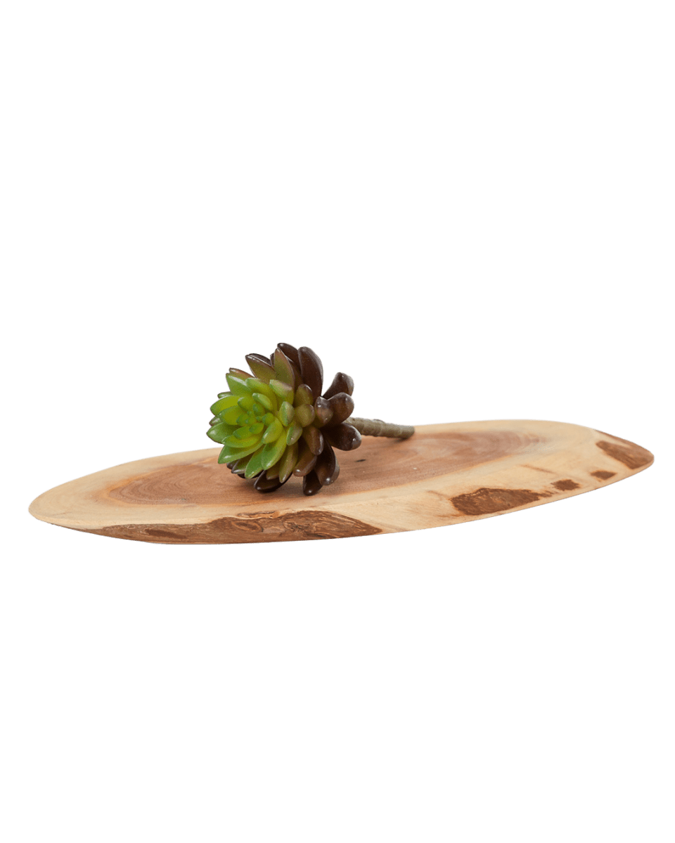 Succulents Fake Faux Lifelike Decorative Things - Chive US Wholesale