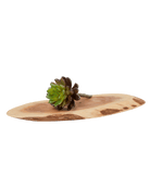Succulents Fake Faux Lifelike Decorative Things - Chive US Wholesale