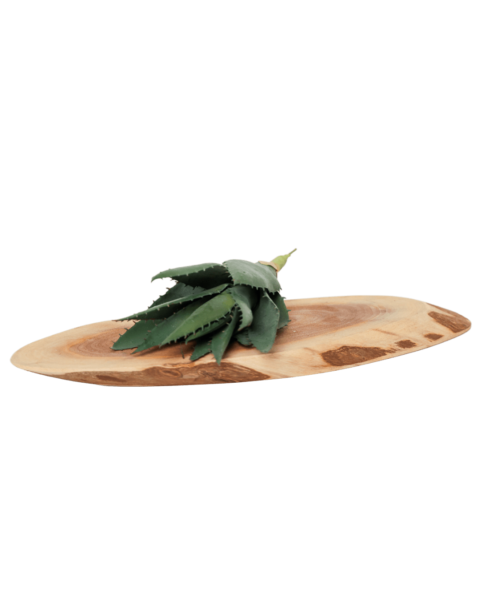 Succulents Fake Faux Lifelike Decorative Things - Chive US Wholesale