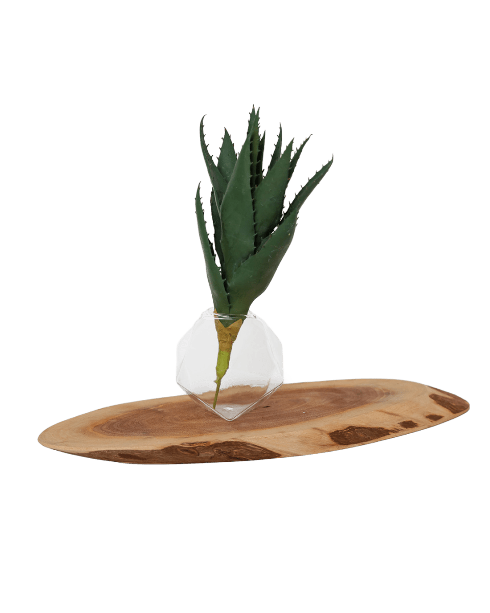 Succulents Fake Faux Lifelike Decorative Things - Chive US Wholesale