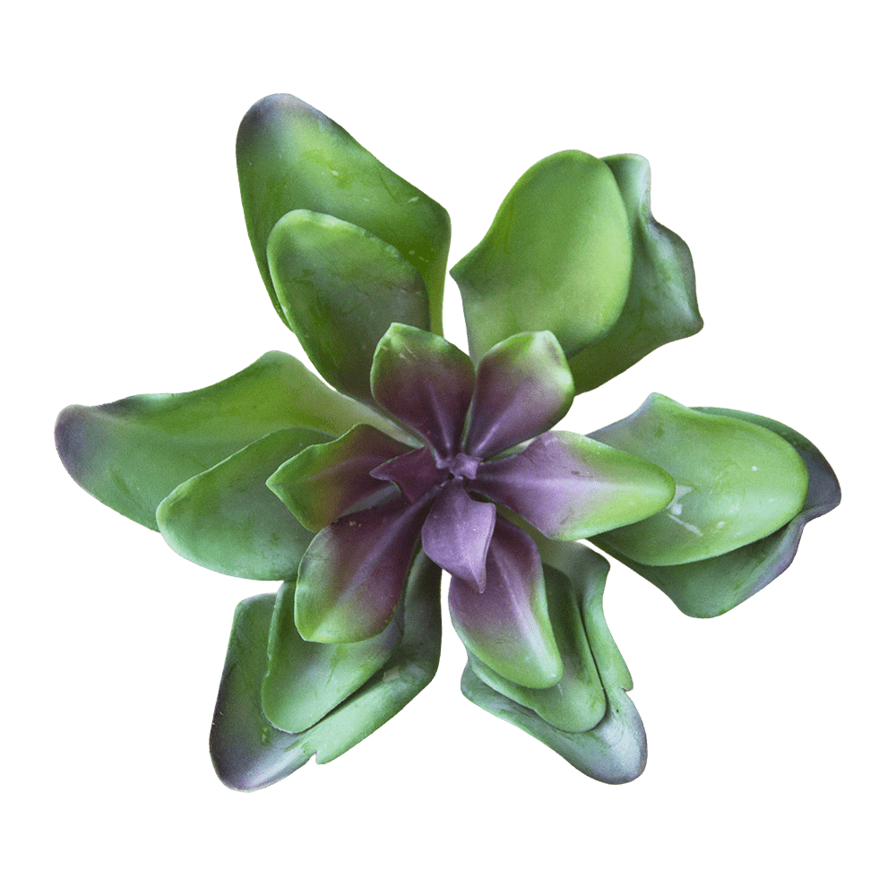 Succulents Fake Faux Lifelike Decorative Things - Chive US Wholesale