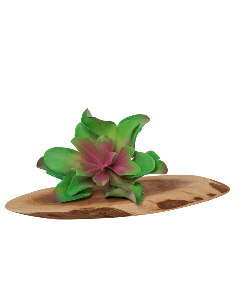 Succulents Fake Faux Lifelike Decorative Things - Chive US Wholesale