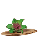 Succulents Fake Faux Lifelike Decorative Things - Chive US Wholesale