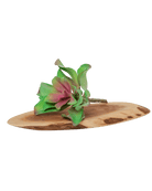 Succulents Fake Faux Lifelike Decorative Things - Chive US Wholesale