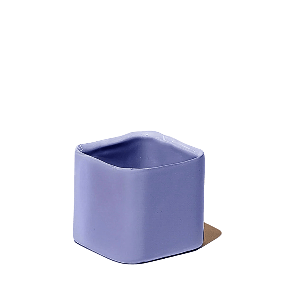 Svek Ceramic Indoor Succulent Pot - Chive US Wholesale