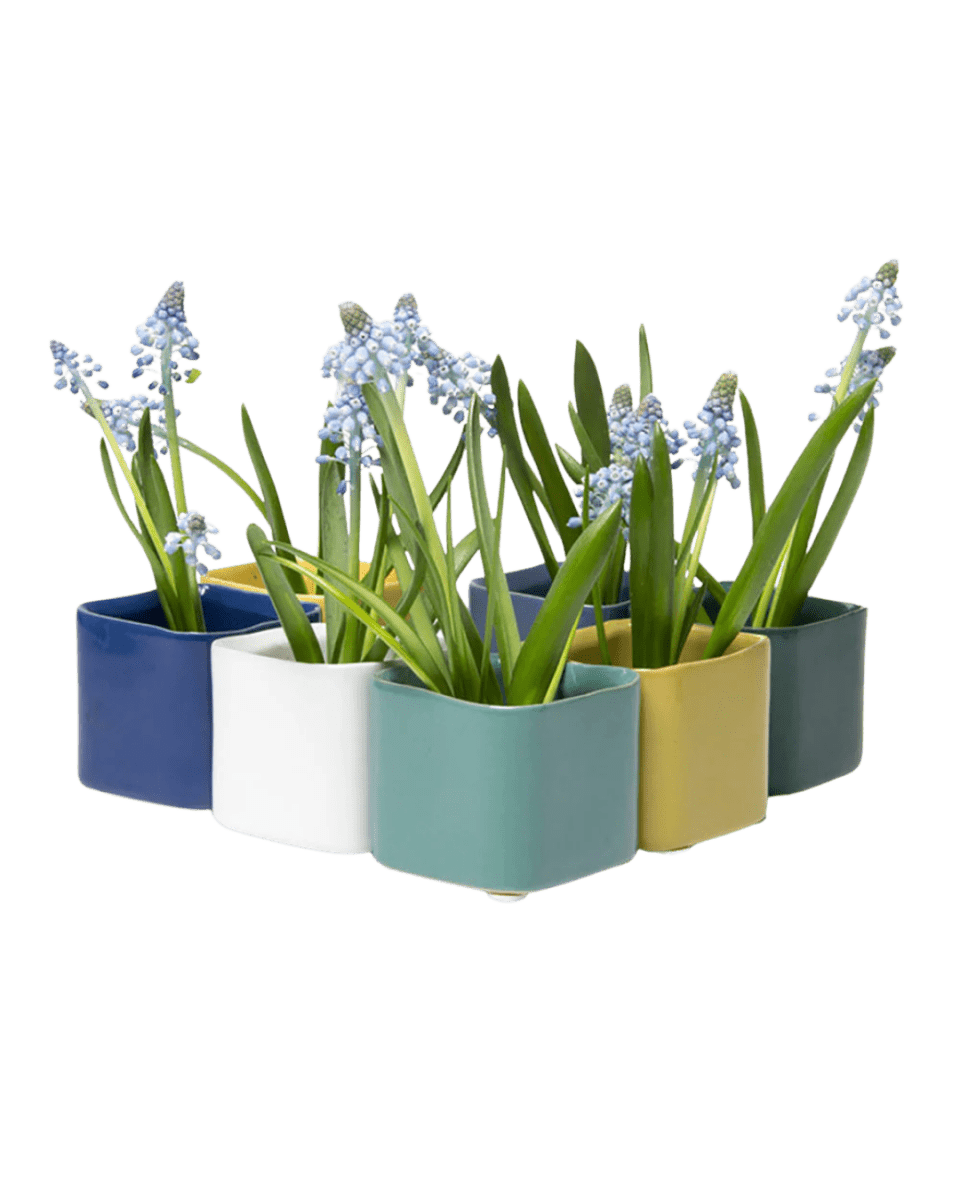 Svek 2 Planter 56pc Kit - Chive US Wholesale