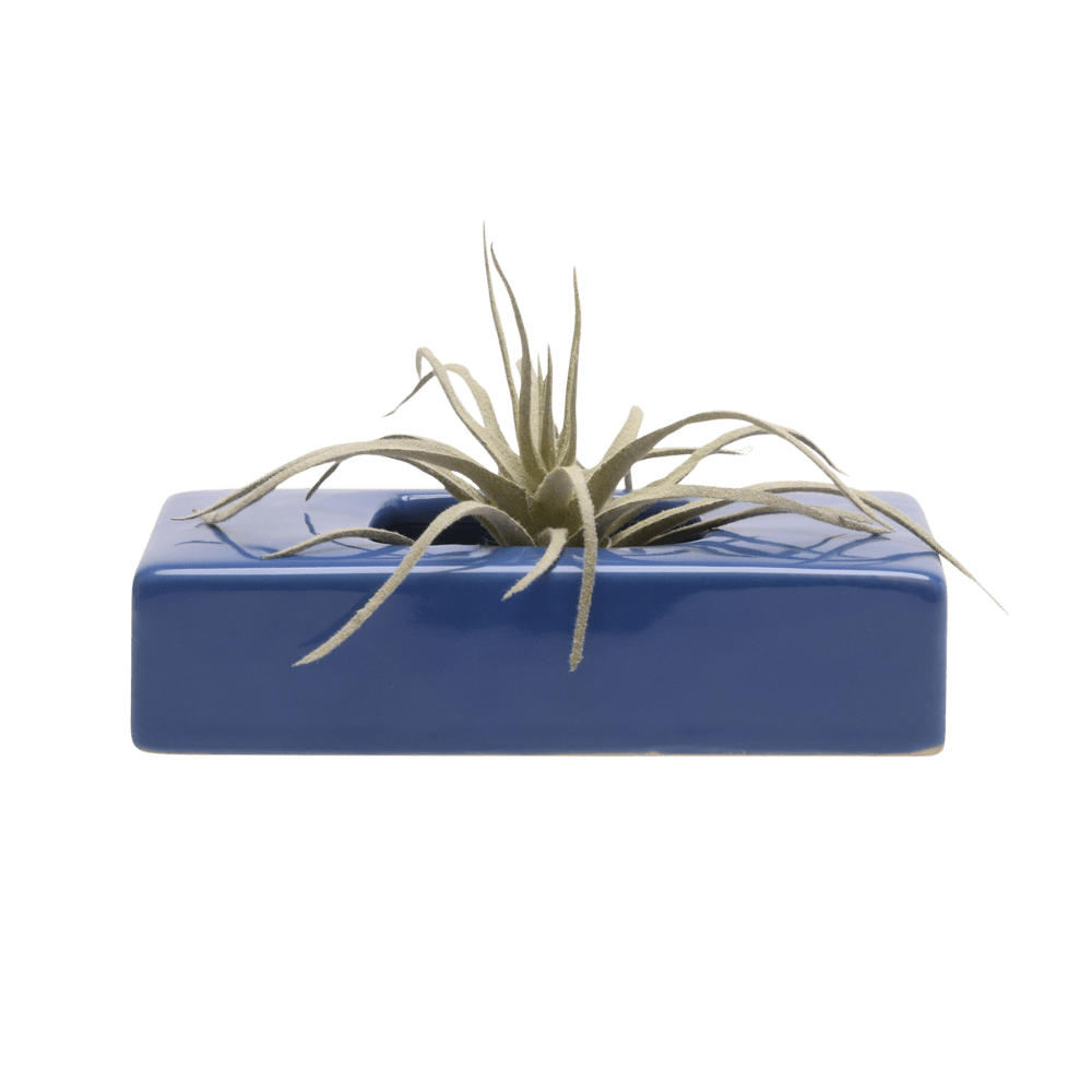 Swayzak Ceramic Dish For Ikebana Kenzans - Chive US Wholesale